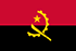 Panel rápido de TGM en Angola
